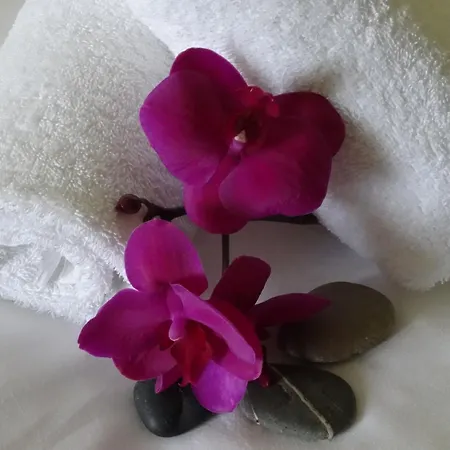 Gaestehaus Fernblick 2* Bad Wimpfen