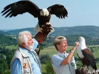 Gaestehaus Fernblick 호텔 바트빔펜